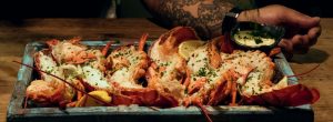 Habitat by Jose Mendin Whole Main Lobster