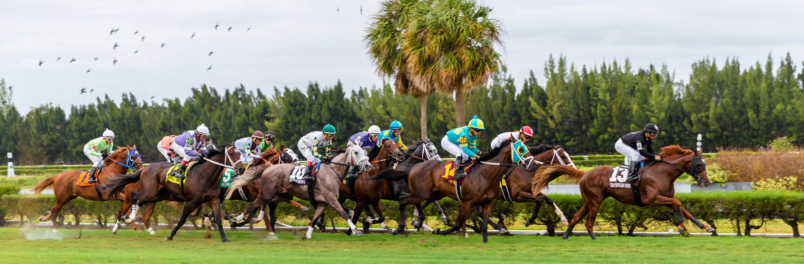 Pegasus World Cup at Gulfstream Park